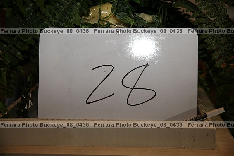 Proof Number buckeye_08_0436