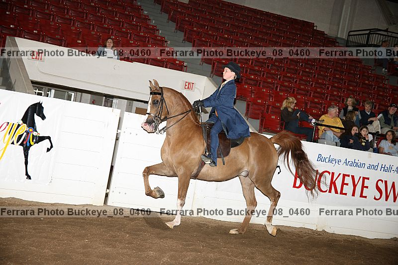 Proof Number buckeye_08_0460