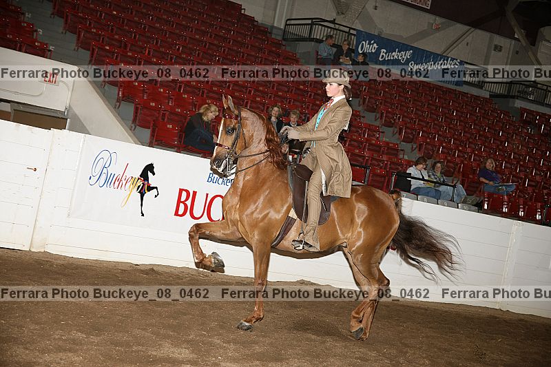 Proof Number buckeye_08_0462