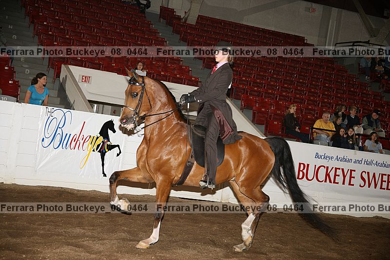 Proof Number buckeye_08_0464