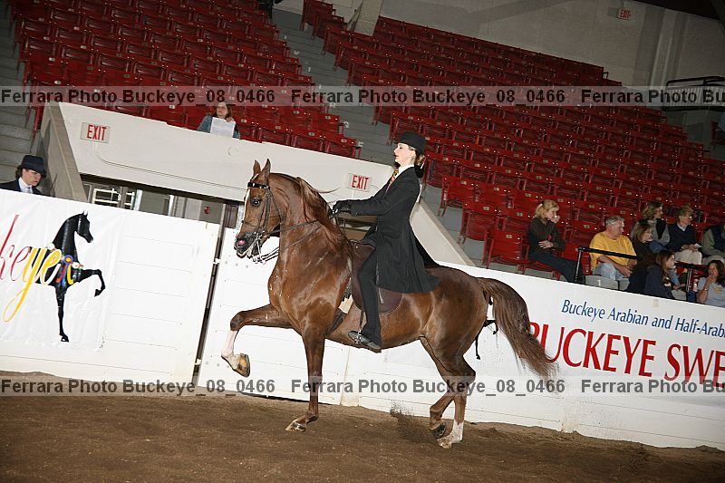 Proof Number buckeye_08_0466