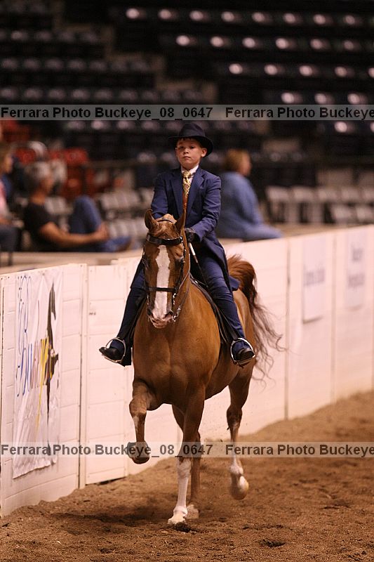 Proof Number buckeye_08_0647