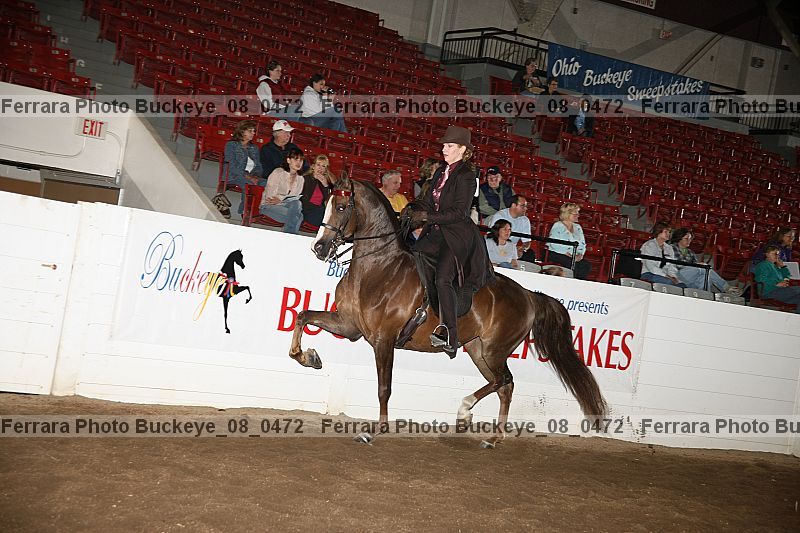 Proof Number buckeye_08_0472