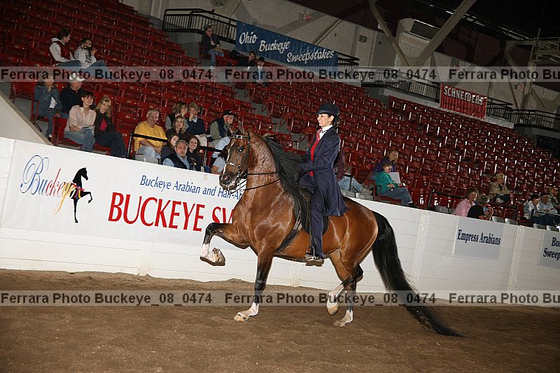 Proof Number buckeye_08_0474