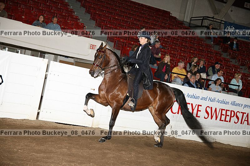 Proof Number buckeye_08_0476