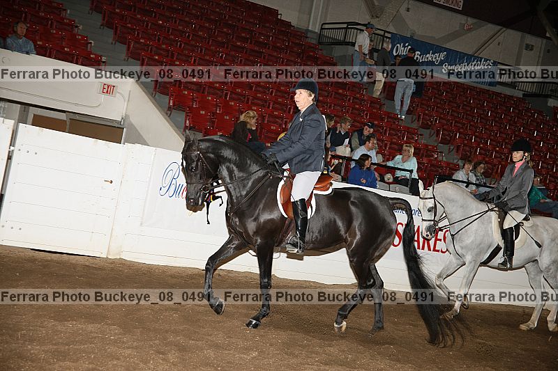 Proof Number buckeye_08_0491