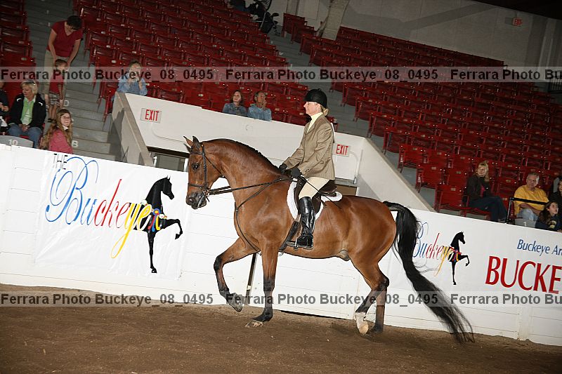Proof Number buckeye_08_0495