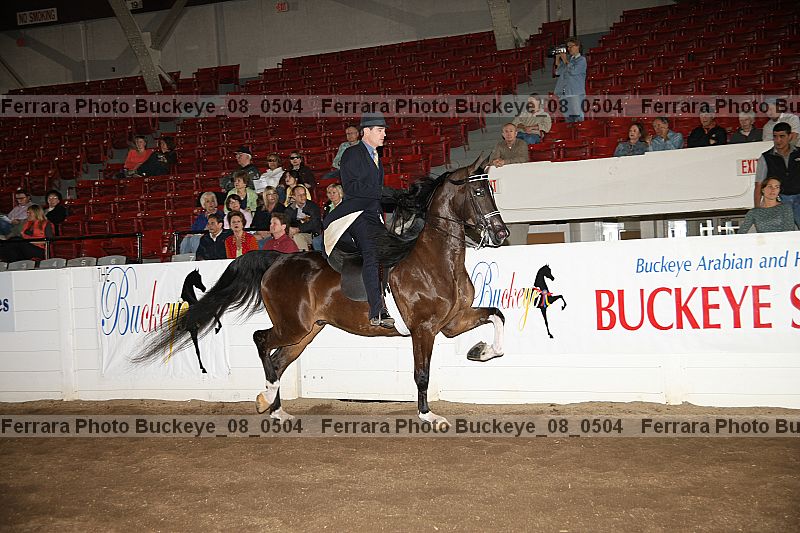 Proof Number buckeye_08_0504