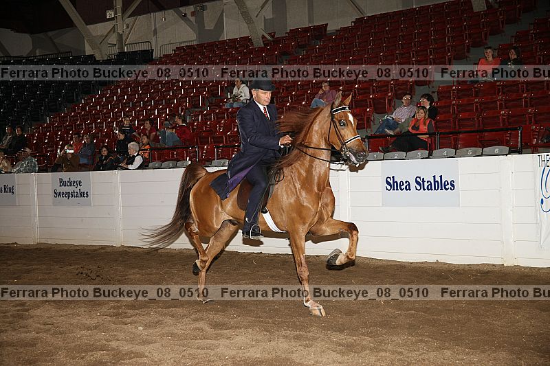 Proof Number buckeye_08_0510
