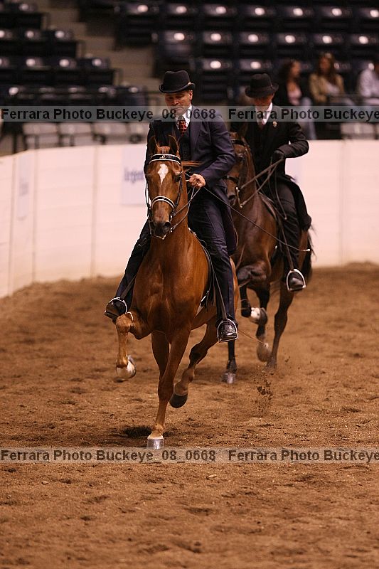 Proof Number buckeye_08_0668