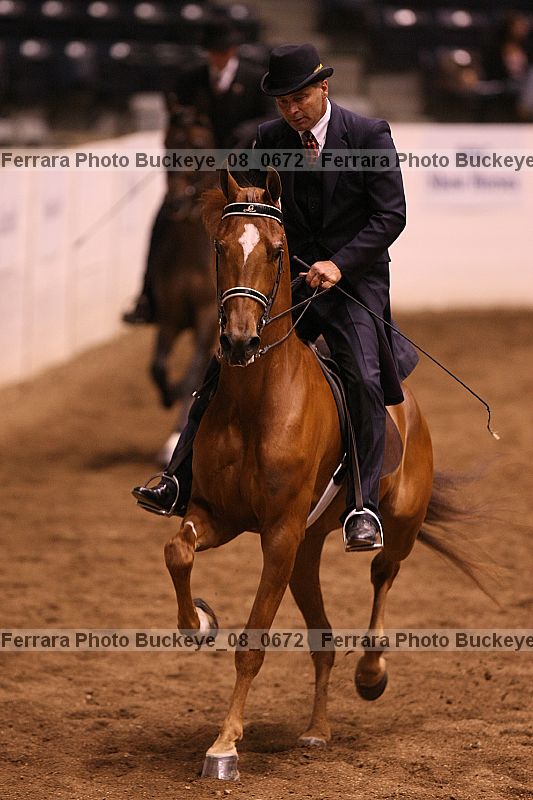 Proof Number buckeye_08_0672