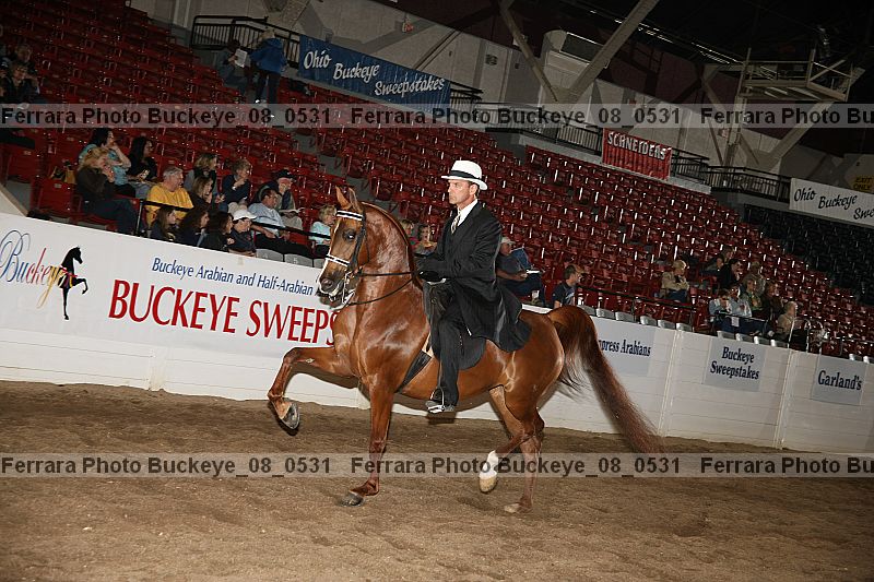 Proof Number buckeye_08_0531