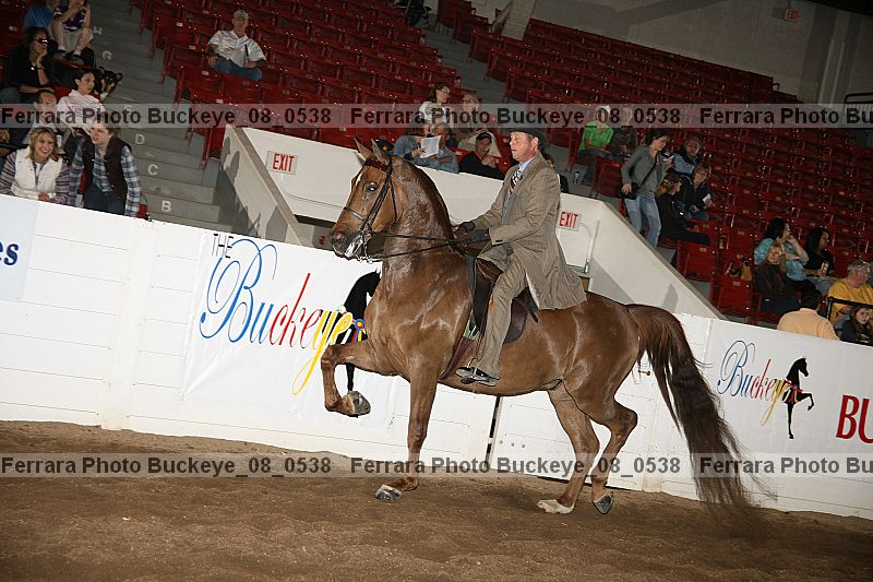 Proof Number buckeye_08_0538