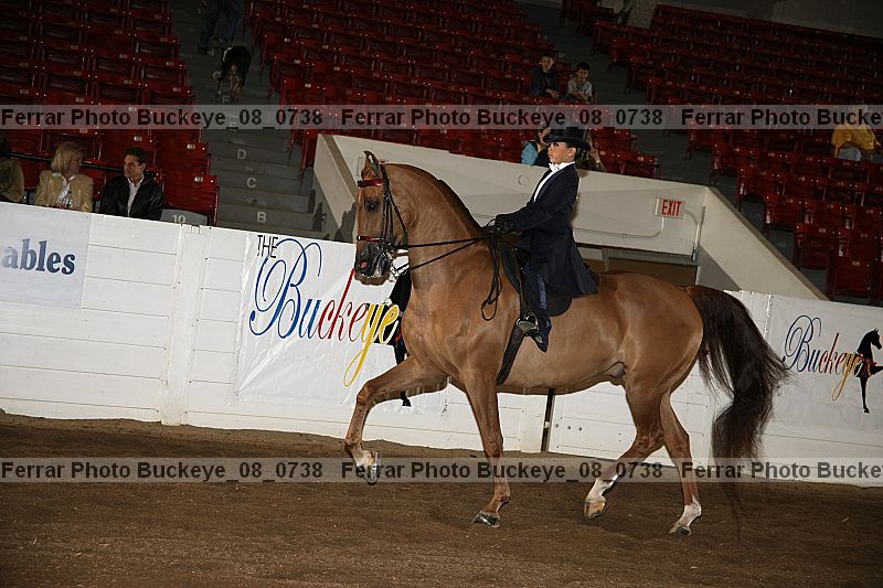 Proof Number buckeye_08_0738