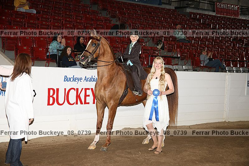 Proof Number buckeye_08_0739