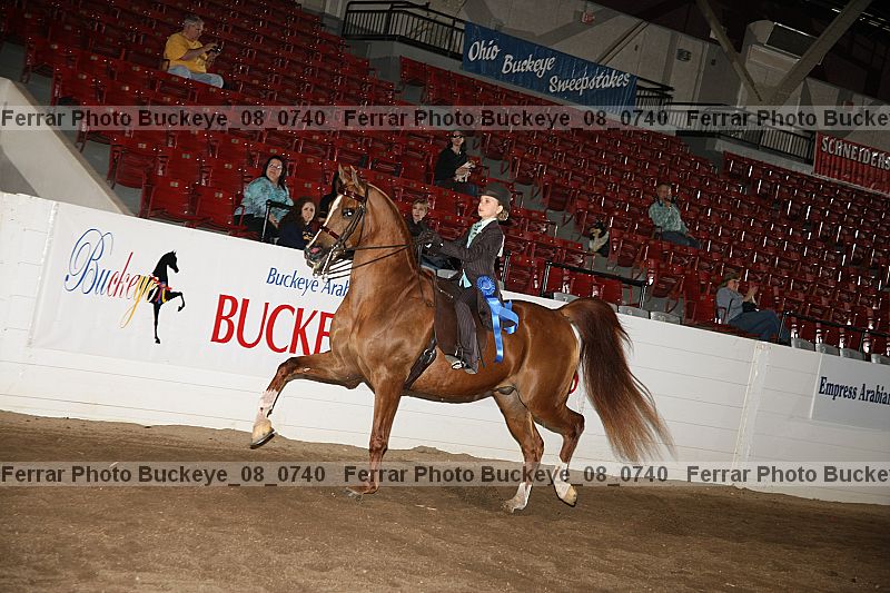 Proof Number buckeye_08_0740