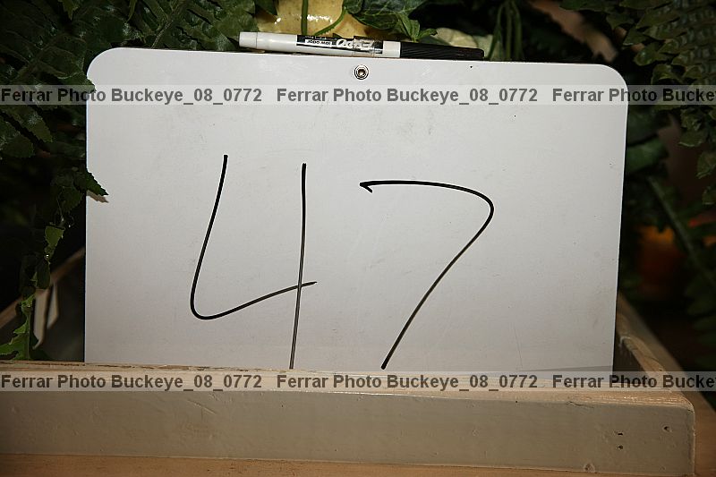 Proof Number buckeye_08_0772