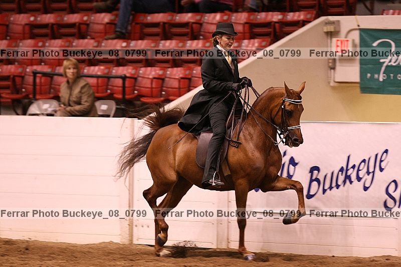 Proof Number buckeye_08_0799