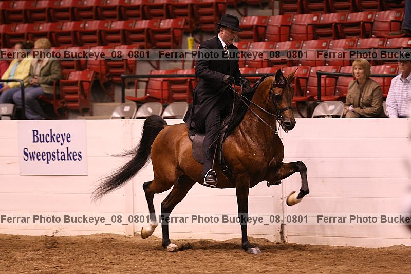 Proof Number buckeye_08_0801