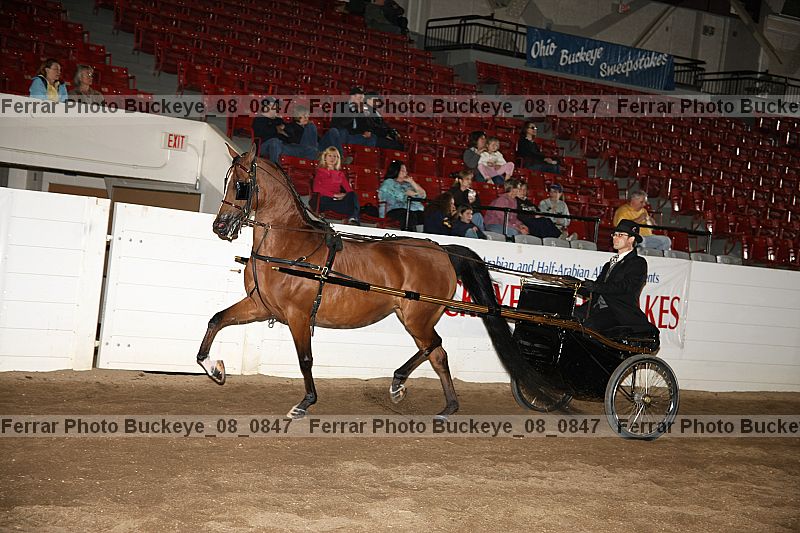 Proof Number buckeye_08_0847