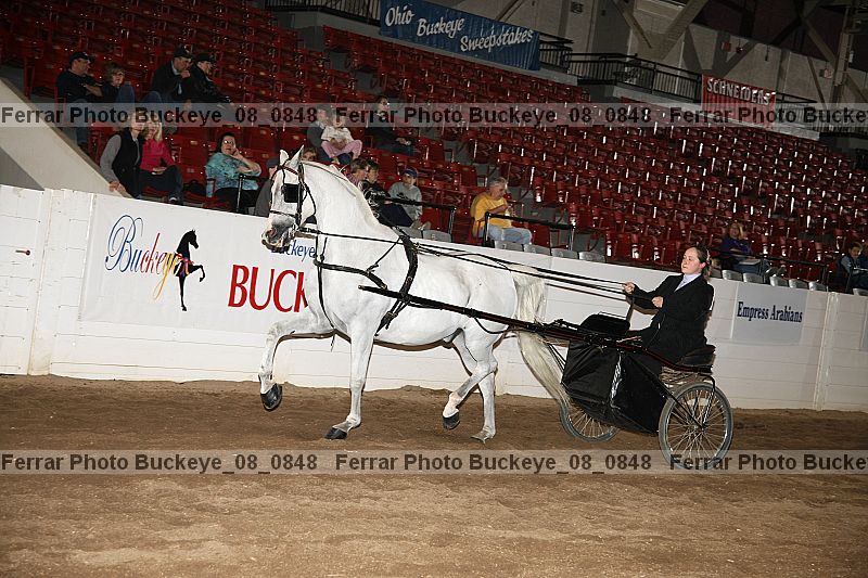 Proof Number buckeye_08_0848