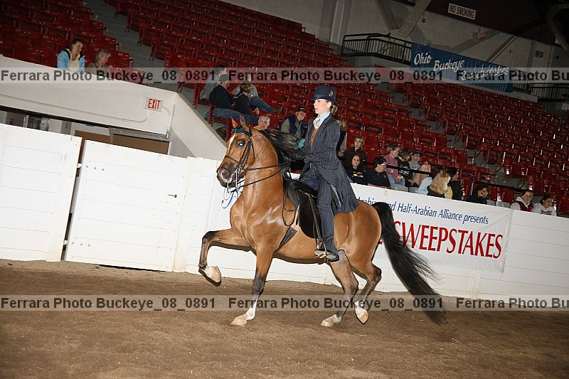 Proof Number buckeye_08_0891