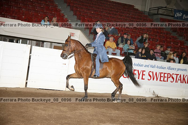 Proof Number buckeye_08_0896