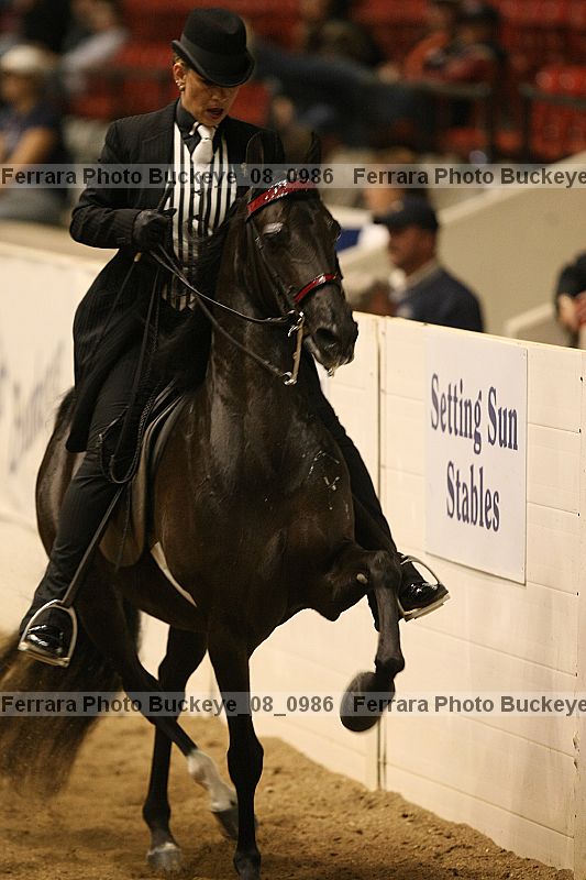 Proof Number buckeye_08_0986