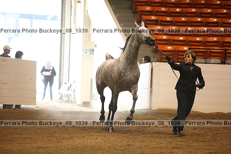 Proof Number buckeye_08_1039