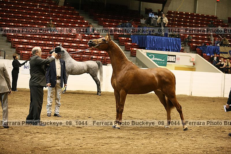 Proof Number buckeye_08_1044