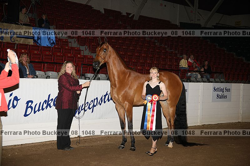 Proof Number buckeye_08_1048