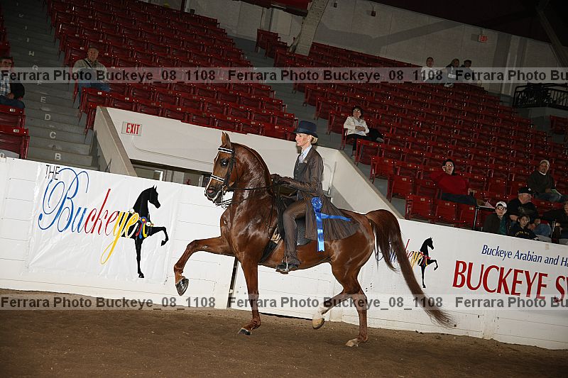 Proof Number buckeye_08_1108