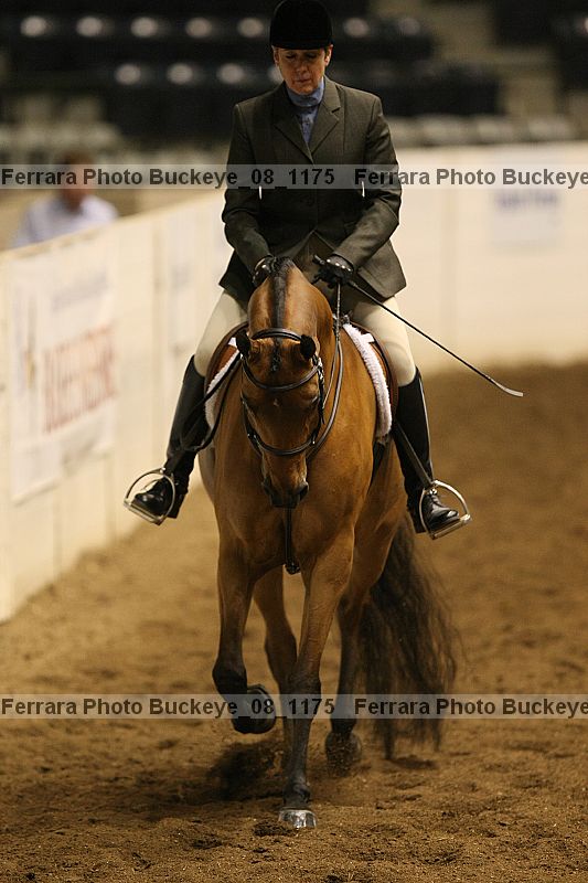 Proof Number buckeye_08_1175