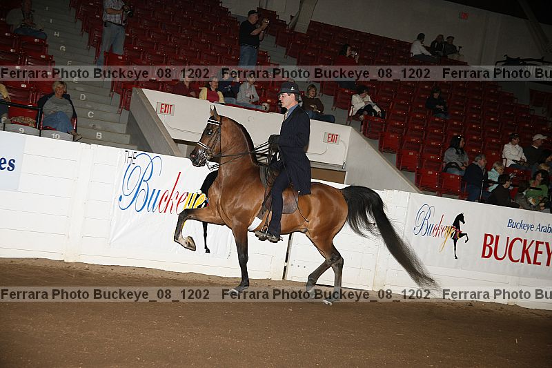 Proof Number buckeye_08_1202
