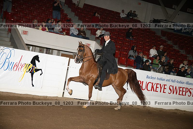 Proof Number buckeye_08_1203