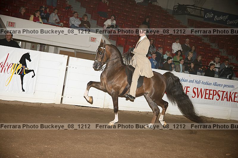 Proof Number buckeye_08_1212