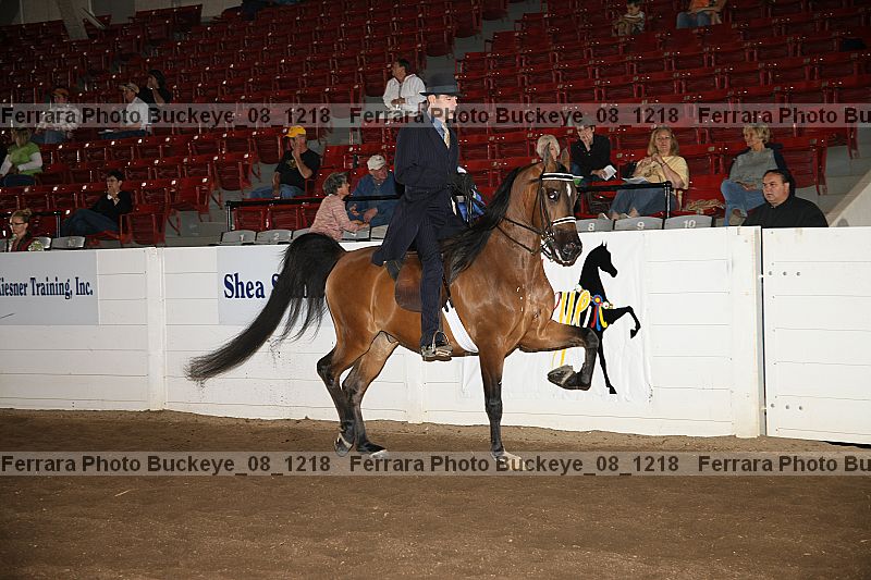 Proof Number buckeye_08_1218