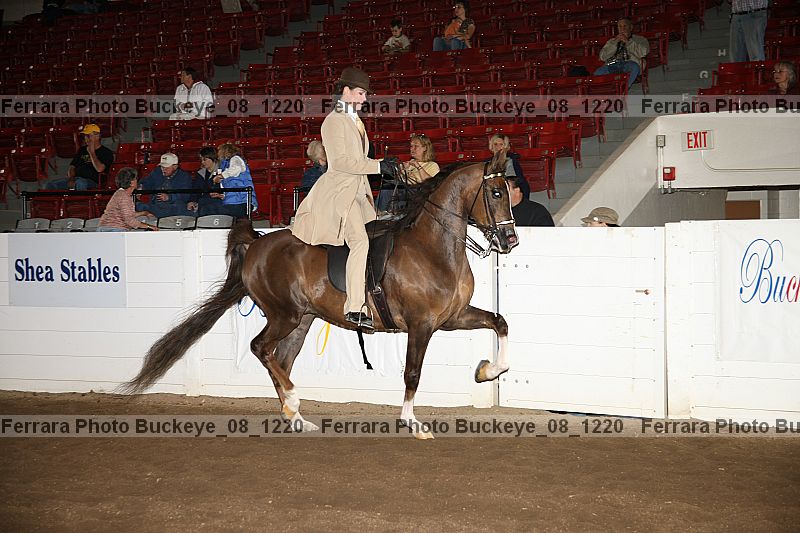 Proof Number buckeye_08_1220