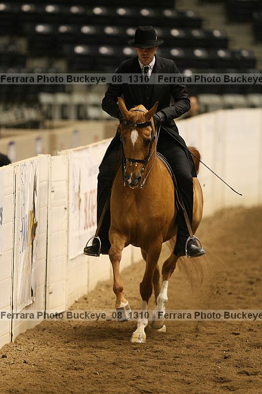 Proof Number buckeye_08_1310