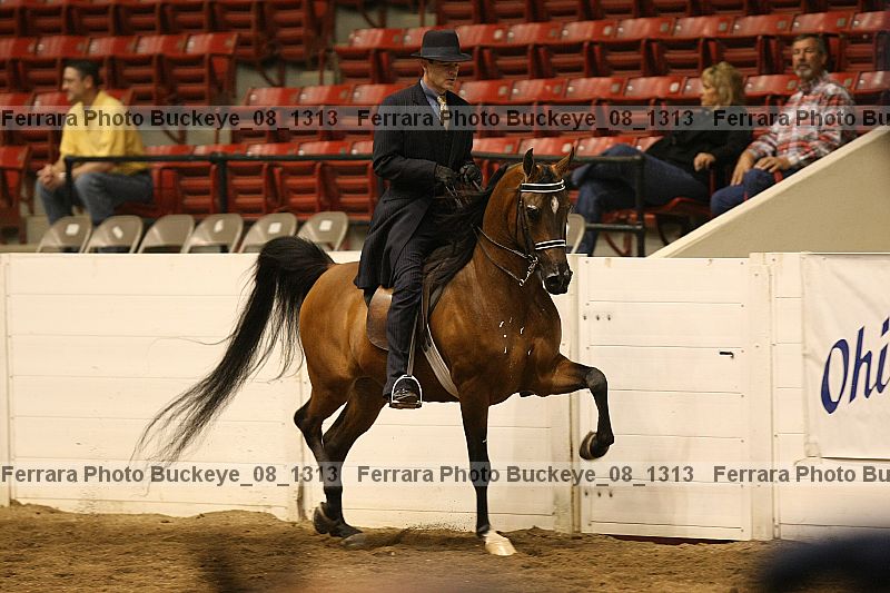 Proof Number buckeye_08_1313