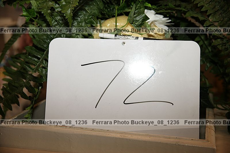 Proof Number buckeye_08_1236