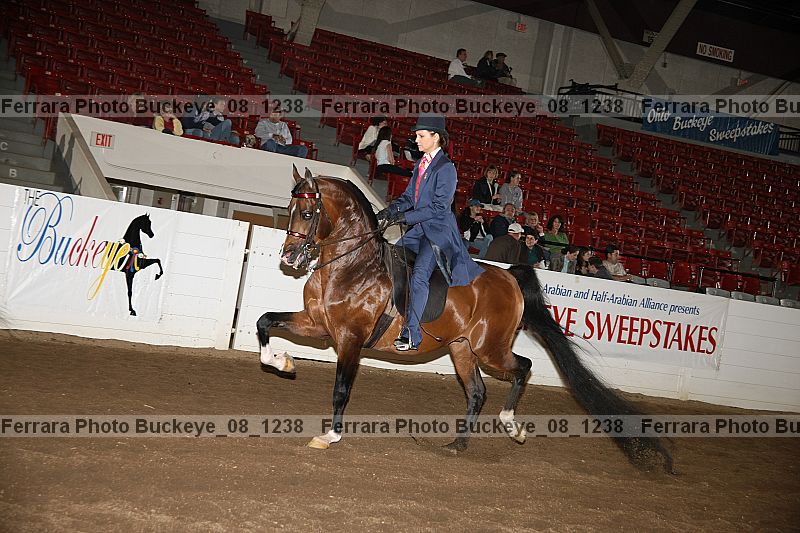 Proof Number buckeye_08_1238