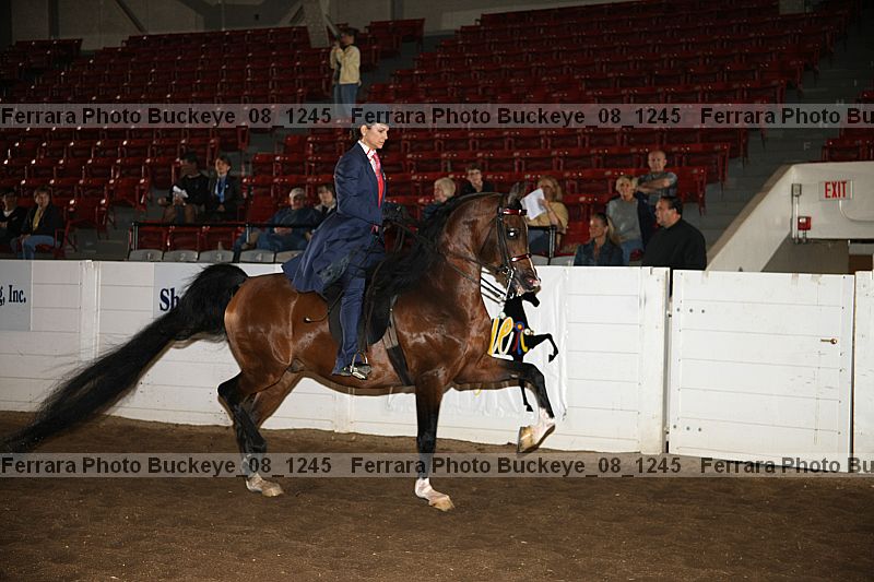 Proof Number buckeye_08_1245