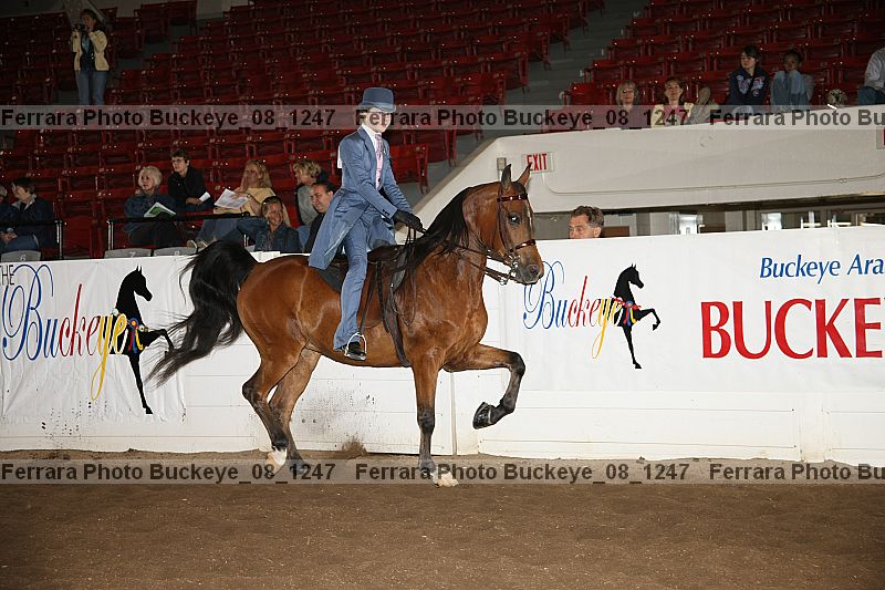 Proof Number buckeye_08_1247