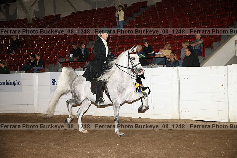 Proof Number buckeye_08_1248