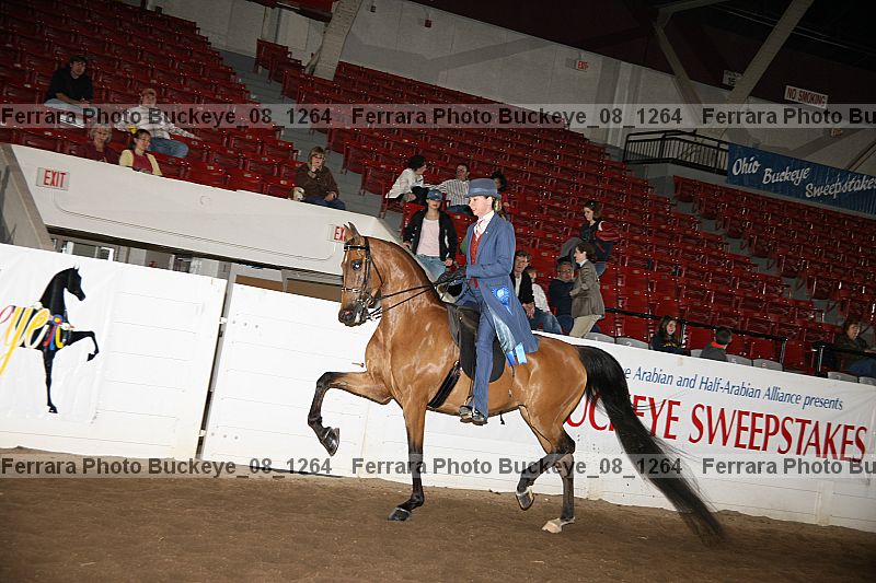 Proof Number buckeye_08_1264