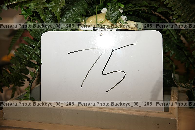Proof Number buckeye_08_1265