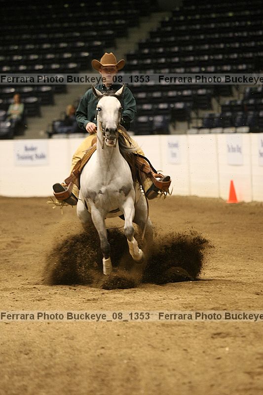 Proof Number buckeye_08_1353