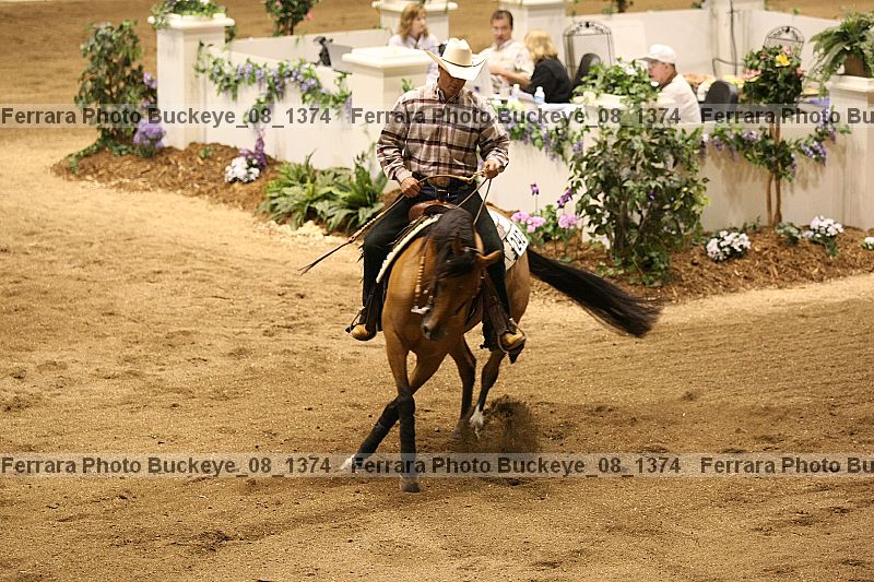 Proof Number buckeye_08_1374