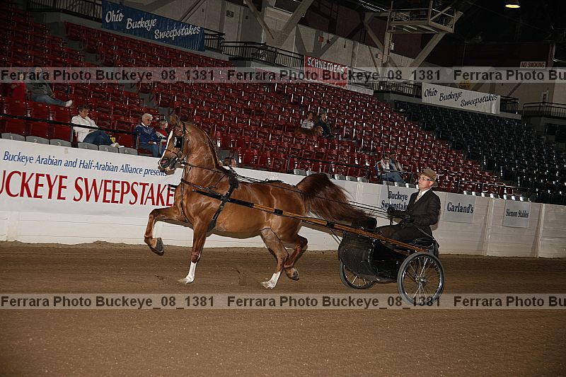 Proof Number buckeye_08_1381